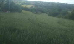 Plac, Beograd, Babe, prodaja, 0m2, 39000e, id1241680