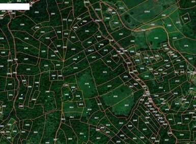 Plac, Boljevac, Bačevica, prodaja, 0m2, 30000e, id1226689