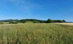 Plac, Boljevac, Valakonje, prodaja, 0m2, 15000e, id1223547