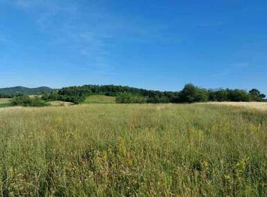 Plac, Boljevac, Valakonje, prodaja, 0m2, 15000e, id1223547