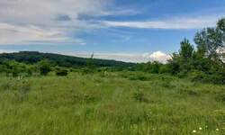 Plac, Boljevac, Mirovo, prodaja, 0m2, 8350e, id1195167