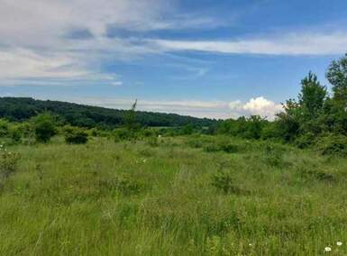 Plac, Boljevac, Mirovo, prodaja, 0m2, 8350e, id1195167