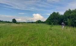 Plac, Boljevac, Mirovo, prodaja, 0m2, 9000e, id1195168