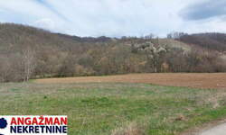 Plac, Boljevac, Dobro polje, prodaja, 0m2, 10000e, id1190560