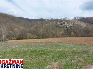 Plac, Boljevac, Dobro polje, prodaja, 0m2, 10000e, id1190560