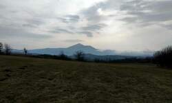 Plac, Boljevac, Valakonje, prodaja, 0m2, 34590e, id890308