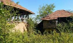 Plac, Boljevac, Osnić, prodaja, 0m2, 6500e, id867203