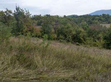 Plac, Boljevac, Vrbovac, prodaja, 0m2, 2550e, id853125