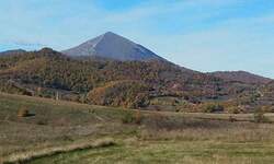 Plac, Boljevac, Dobro polje, prodaja, 0m2, 16600e, id826466