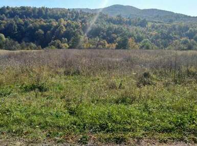 Plac, Boljevac, Bačevica, prodaja, 0m2, 23800e, id820181