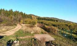 Plac, Boljevac, centar, prodaja, 0m2, 87255e, id820183