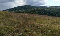 Plac, Boljevac, Dobrujevac, prodaja, 0m2, 13900e, id806985