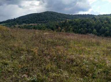 Plac, Boljevac, Dobrujevac, prodaja, 0m2, 13900e, id806985