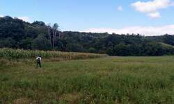 Plac, Boljevac, Jablanica, prodaja, 0m2, 14000e, id796632