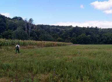 Plac, Boljevac, Jablanica, prodaja, 0m2, 14000e, id796632