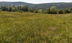 Plac, Boljevac, Rujište, prodaja, 0m2, 4000e, id793176