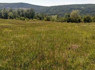 Plac, Boljevac, Rujište, prodaja, 0m2, 4000e, id793176