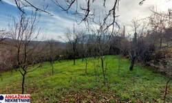 Stan, Boljevac, Jablanica, prodaja, 0m2, 8500e, id1288636