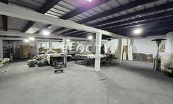 Poslovni prostor / Lokal, Beograd, Ritopek, izdavanje, 1000m2, 1500e, id1464348