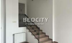 Poslovni prostor / Lokal, Novi Sad, Telep, izdavanje, 58m2, 600e, id1464566