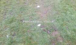 Plac, Beograd, Surčin (mesto), prodaja, 0m2, 100000e, id1465399