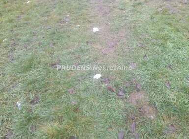 Plac, Beograd, Surčin (mesto), prodaja, 0m2, 100000e, id1465399