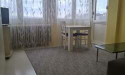 Garsonjera, Novi Sad, izdavanje, 25m2, 250e, id1465449