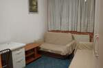 Jednoiposoban stan, Novi Sad, izdavanje, 39m2, 300e, id1465457