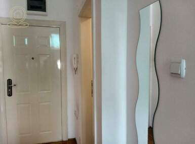 Garsonjera, Novi Sad, izdavanje, 25m2, 300e, id1465473