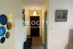 Trosoban stan, Beograd, Bežanija, izdavanje, 50m2, 650e, id1465757