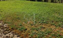 Kuca, Sombor, Čonoplja, prodaja, 217m2, 31000e, id1289708