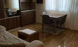 Jednoiposoban stan, Novi Sad, izdavanje, 42m2, 550e, id1466015