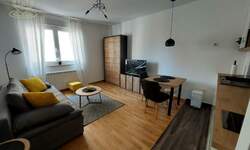 Jednosoban stan, Beograd, Autokomanda, izdavanje, 25m2, 500e, id1466176