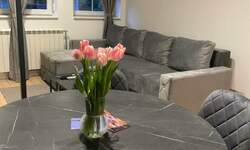 Jednoiposoban stan, Novi Sad, izdavanje, 30m2, 600e, id1466188