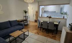 Jednoiposoban stan, Novi Sad, izdavanje, 36m2, 400e, id1466214