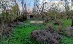 Plac, Jagodina, prodaja, 0m2, 9500e, id1460285