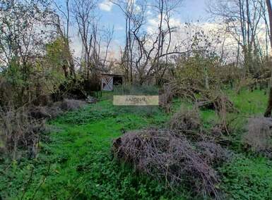 Plac, Jagodina, prodaja, 0m2, 9500e, id1460285