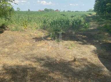 Plac, Sombor, Bilić, prodaja, 0m2, 55000e, id1203039