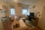 Jednoiposoban stan, Novi Sad, izdavanje, 30m2, 300e, id1466292