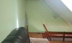 Jednoiposoban stan, Novi Sad, izdavanje, 36m2, 350e, id1466305