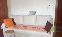 Garsonjera, Novi Sad, izdavanje, 25m2, 300e, id1466314