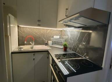 Dvosoban stan, Novi Sad, izdavanje, 50m2, 550e, id1466337