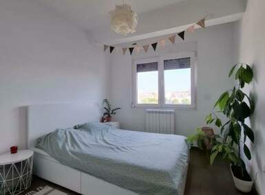 Dvosoban stan, Beograd, Dušanovac, izdavanje, 40m2, 650e, id1466448