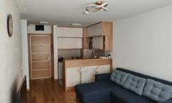 Dvosoban stan, Beograd, Saobraćajni fakultet, izdavanje, 50m2, 700e, id1466449