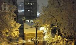 Dvoiposoban stan, Beograd, FON - Bilećka, prodaja, 70m2, 300000e, id1466484