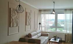 Dvosoban stan, Novi Sad, izdavanje, 45m2, 700e, id1466490