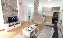 Jednoiposoban stan, Novi Sad, izdavanje, 35m2, 380e, id1466494