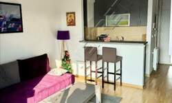 Jednoiposoban stan, Beograd, Lion, izdavanje, 40m2, 650e, id1466598