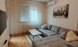 Dvosoban stan, Novi Sad, izdavanje, 48m2, 550e, id1466615