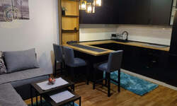 Jednoiposoban stan, Novi Sad, izdavanje, 42m2, 450e, id1466641